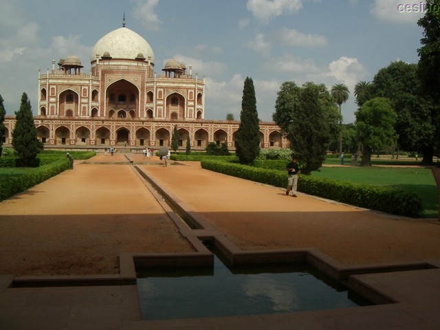 delhi0034.jpg