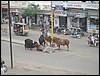 rajkot0060.jpg