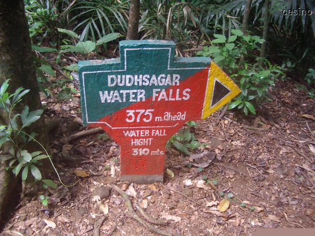 goa025.JPG