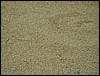 goa046.JPG