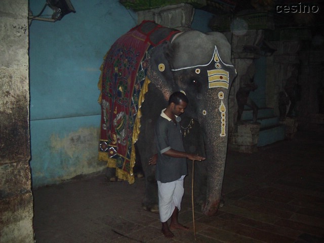 sri_meenakshi_temple032.JPG