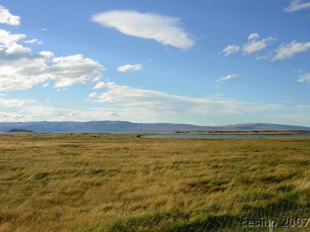 DSCN5953.JPG