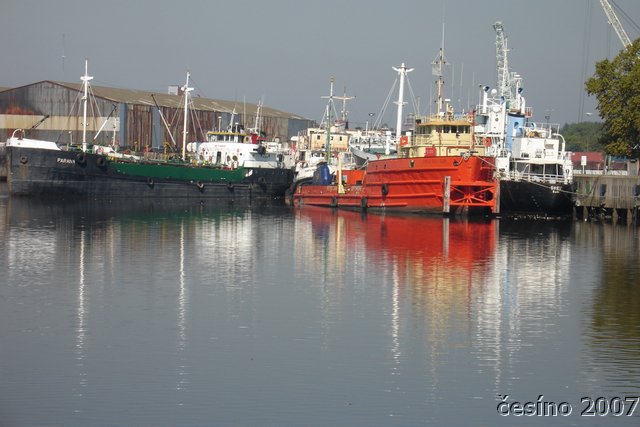 DSC01464.JPG