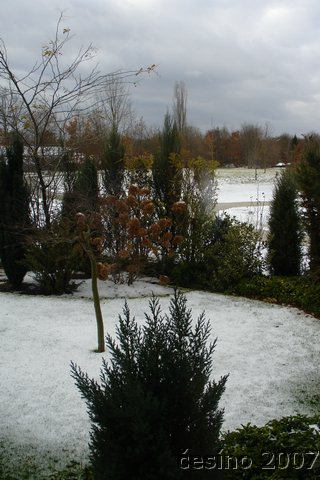 DSC02192.JPG
