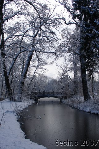 DSC02288.JPG
