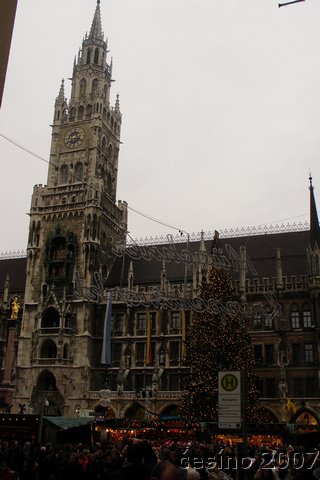 DSC02543.JPG