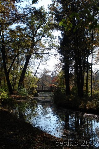 DSC03931.JPG