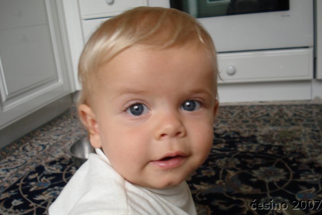 DSC04121.JPG
