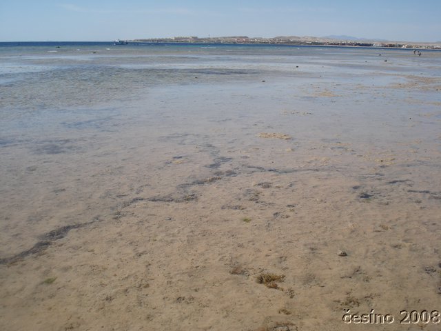 DSC05838.JPG