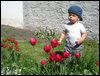 DSC05898.JPG