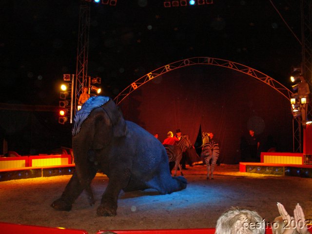 DSC07110.JPG