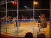 DSC08349.JPG