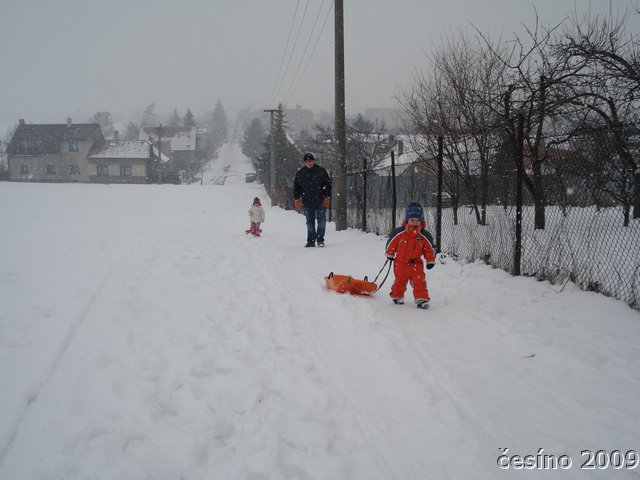 DSC08448.JPG