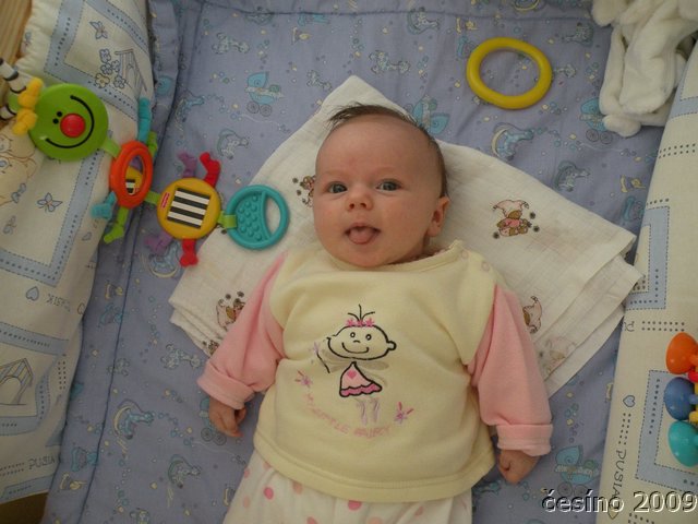 DSCN2290.JPG