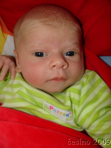 DSC00044.JPG