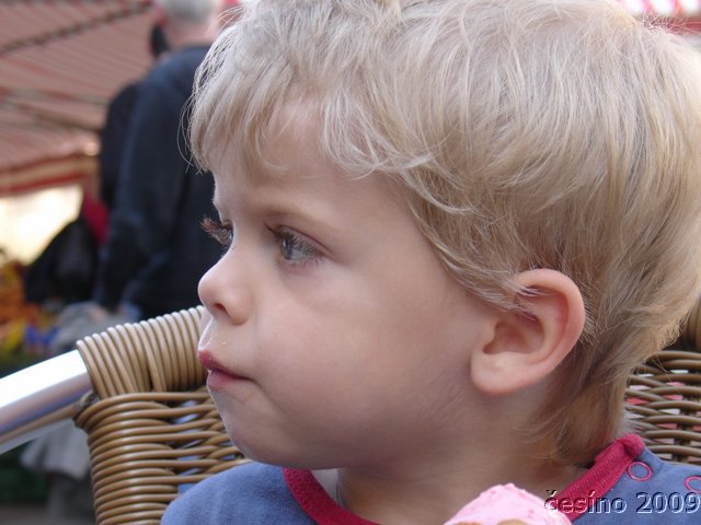 DSC00096.JPG