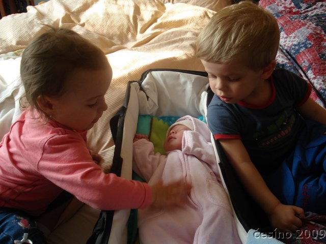 DSC08747.JPG