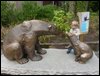 DSC00199.JPG