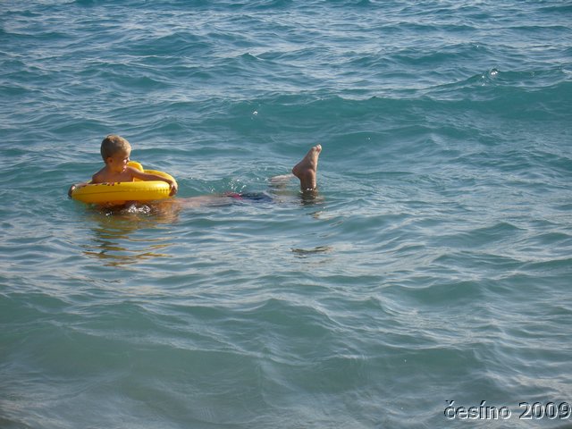 DSC01220.JPG