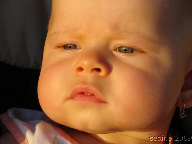 DSC01525.JPG