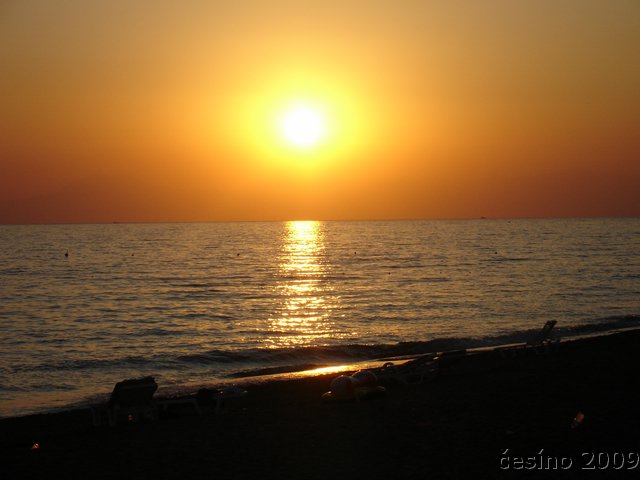 DSC01560.JPG