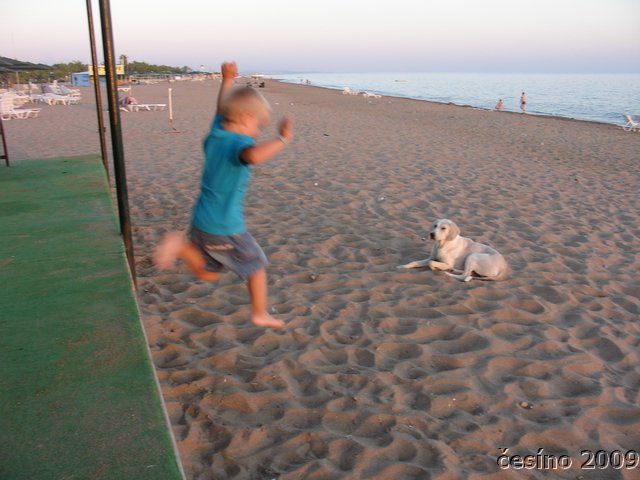DSC01563.JPG