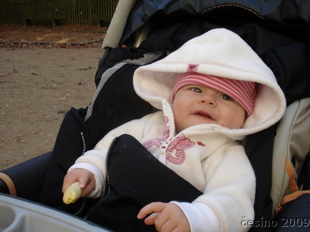 DSC09759.JPG