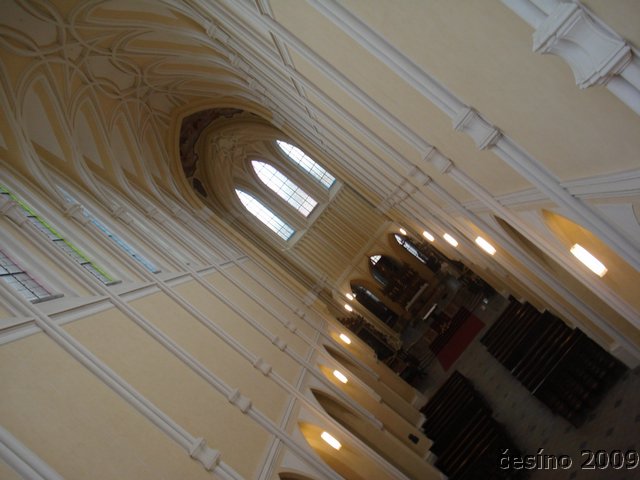 DSC09776.JPG