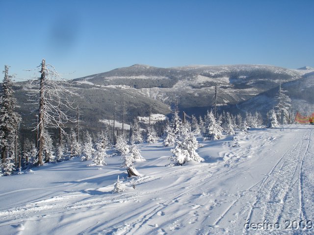 DSC00325.JPG