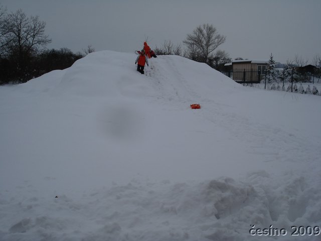 DSC00549.JPG