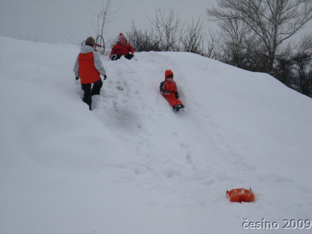 DSC00550.JPG