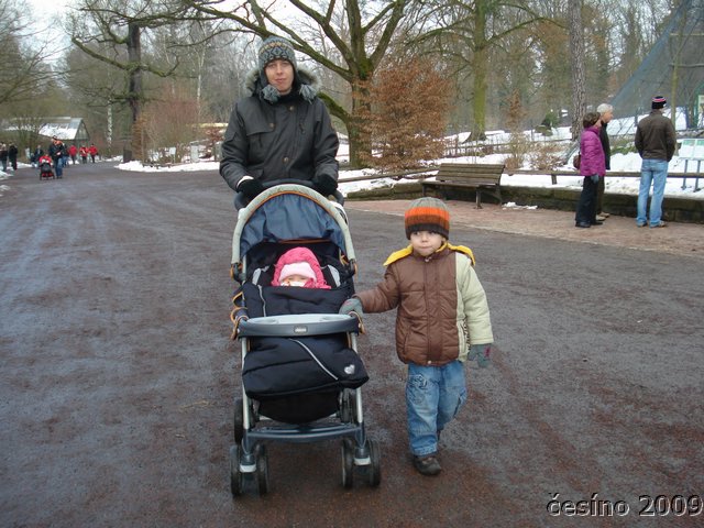 DSC00647.JPG