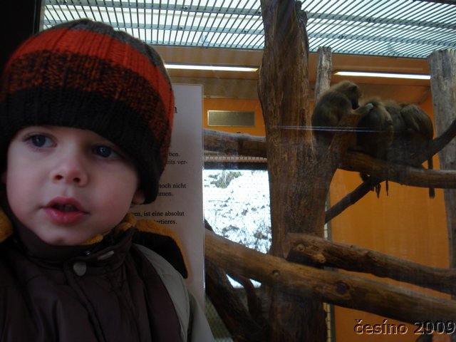 DSC00650.JPG