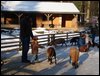 DSC00713.JPG