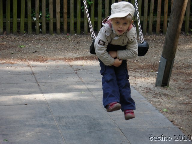 DSC02709.JPG