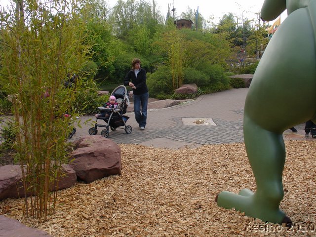 DSC02823.JPG