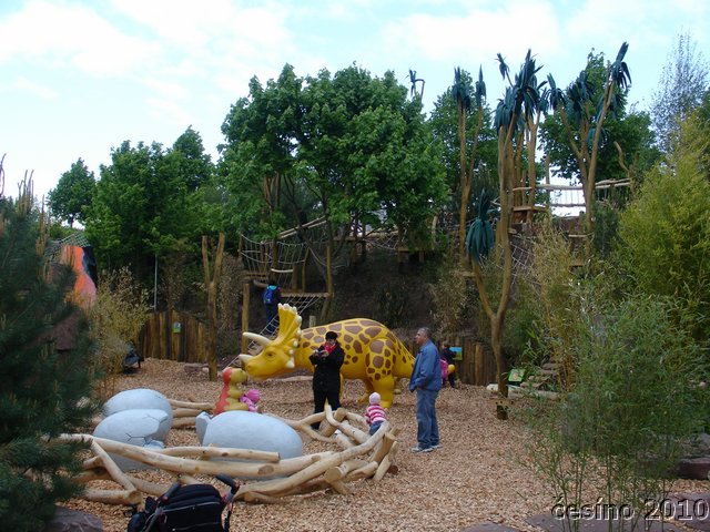 DSC02827.JPG