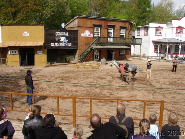 DSC02664.JPG