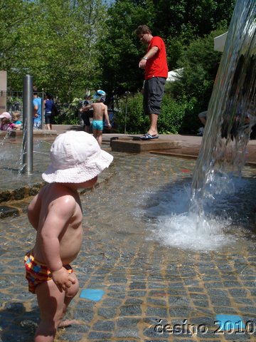 DSC01103.JPG