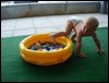 DSC01117.JPG