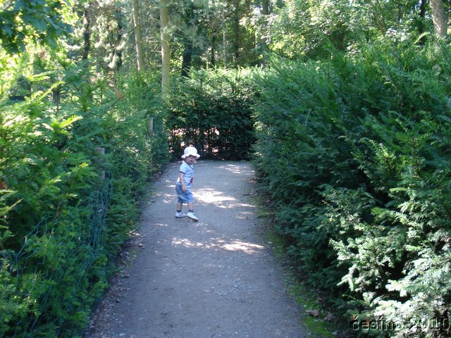 DSC02044.JPG