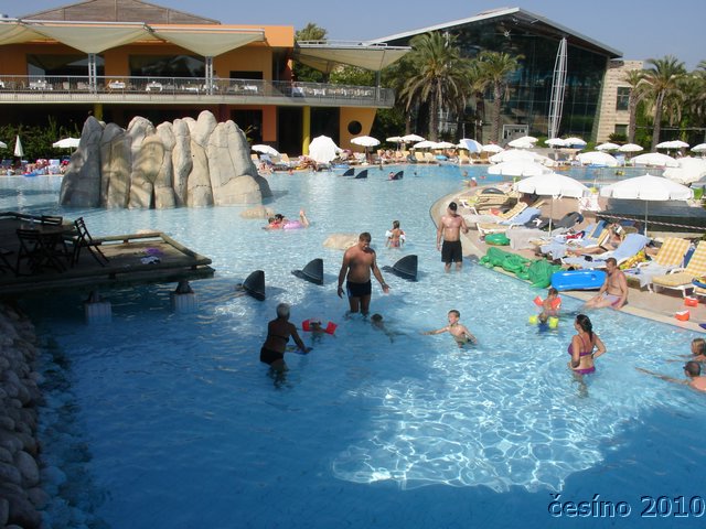 DSC04020.JPG