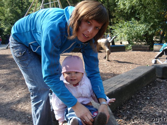 DSC02337.JPG