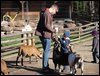 DSC04963.JPG