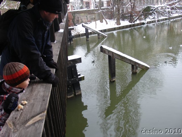 DSC05106.JPG