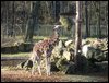 DSC05793.JPG