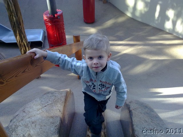 29012011882.jpg