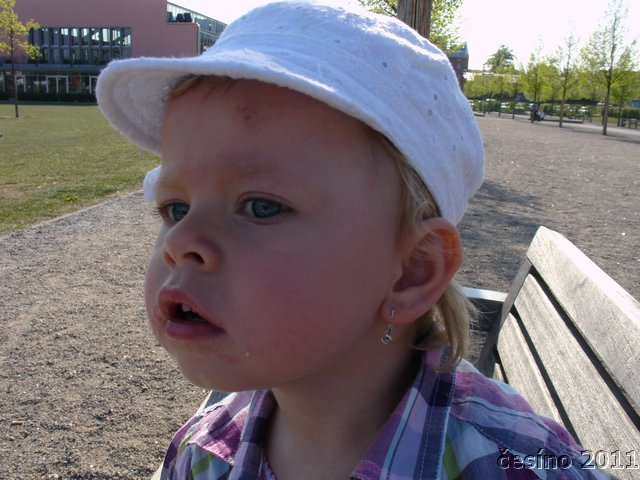 DSC07230.JPG