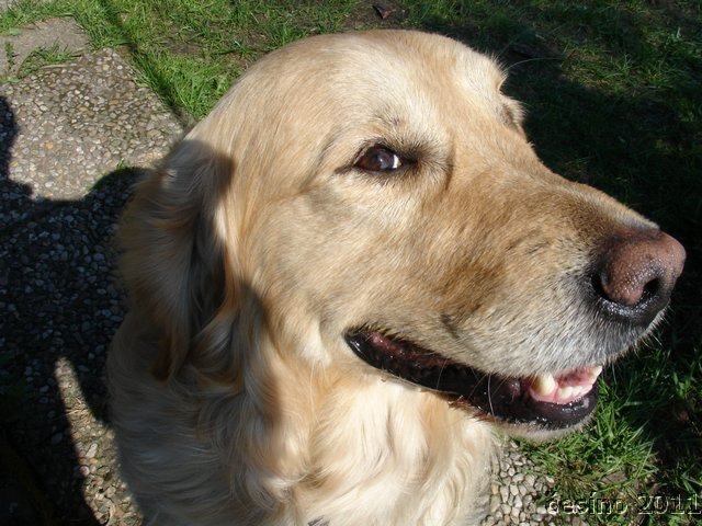 DSC07274.JPG
