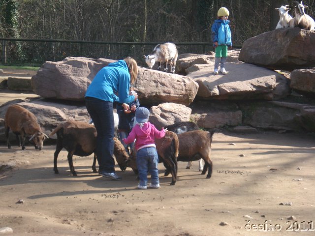 DSC02874.JPG